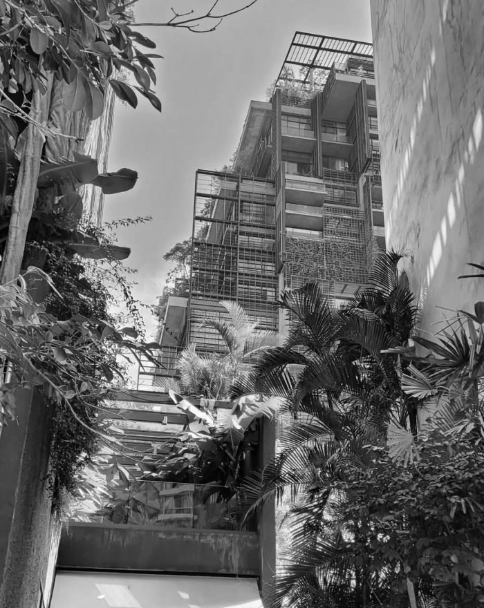 6_BW